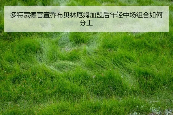 duo-te-meng-de-guan-xuan-qiao-bu-bei-lin-e-mu-jia-meng-hou-nian-qing-zhong-chang-zu-he-ru-he-fen-gong-2-820.jpg