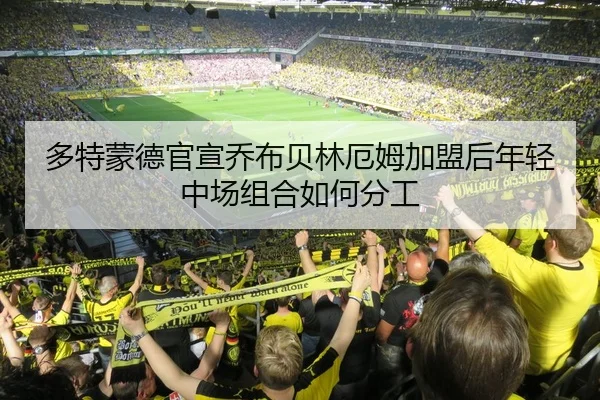 多特蒙德官宣乔布贝林厄姆加盟后年轻中场组合如何分工