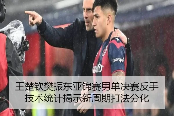 王楚钦樊振东亚锦赛男单决赛反手技术统计揭示新周期打法分化