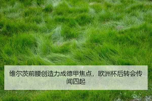 wei-er-ci-qian-yao-chuang-zao-li-cheng-de-jia-jiao-dian-ou-zhou-bei-hou-zhuan-hui-chuan-wen-si-qi-3-956.jpg